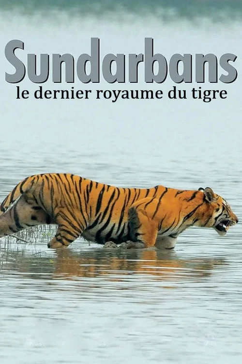 Movie poster for Sundarbans, le dernier royaume du tigre