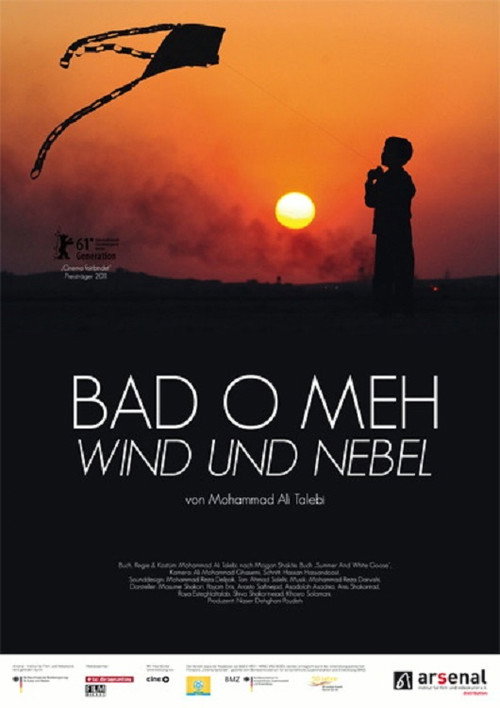 Movie poster for Wind and Fog (2011)