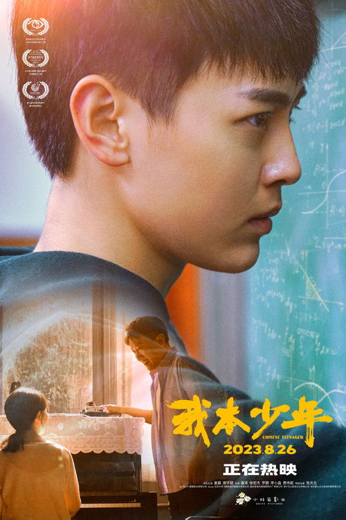 Chinese Teenager poster