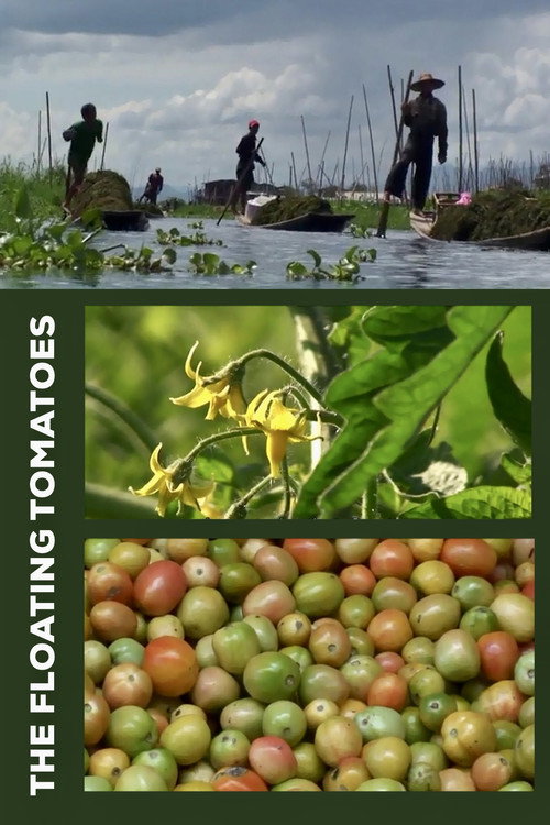 Movie poster for The Floating Tomatoes (2010)