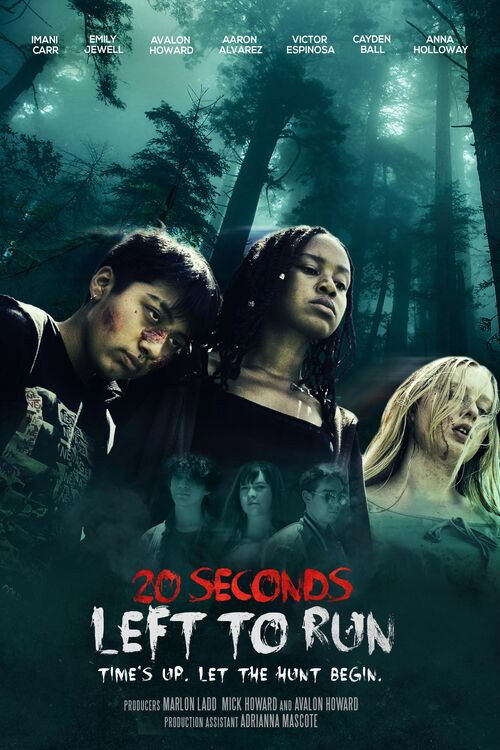 Movie poster for 20 Seconds Left to Run