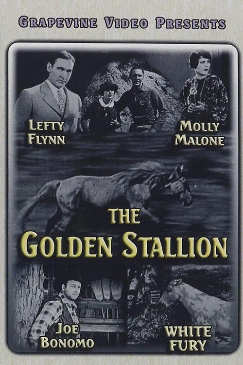 Movie poster for The Golden Stallion (1927)