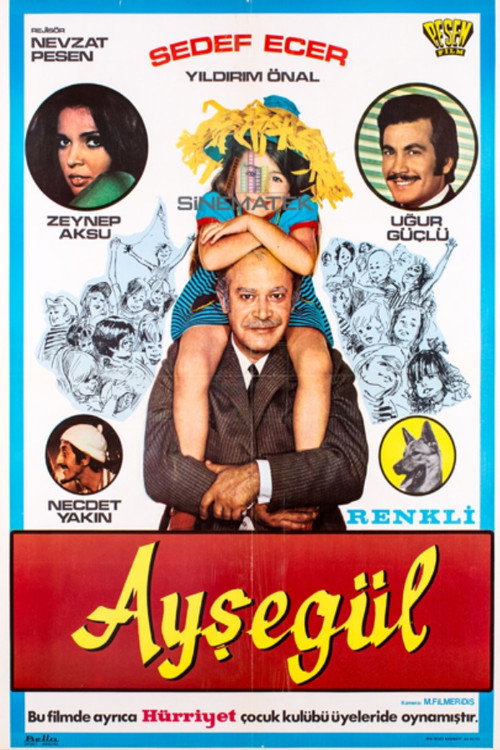 Movie poster for Ayşegül (1971)