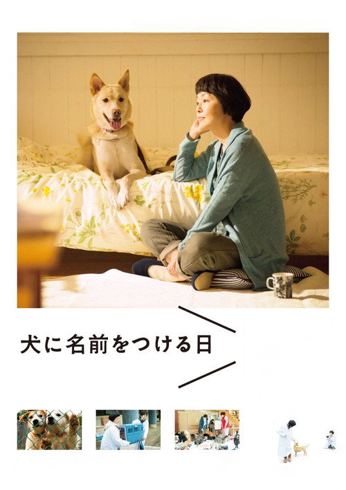 Movie poster for Dogs Without Names (2015)