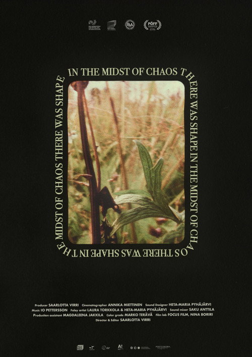 Movie poster for In the Midst of Chaos There Was Shape (2023)