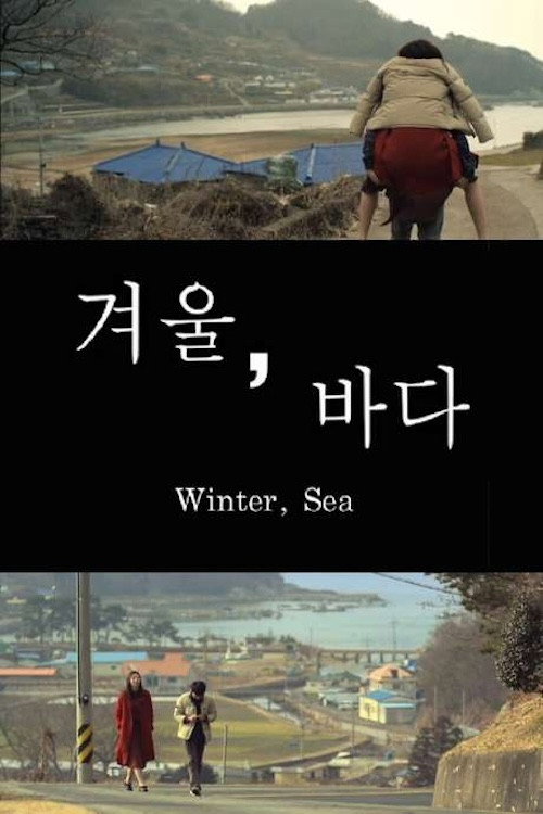 Movie poster for Winter, Sea (2015)
