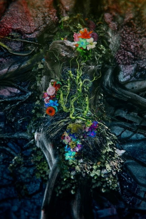 Movie poster for Gaia (2024)