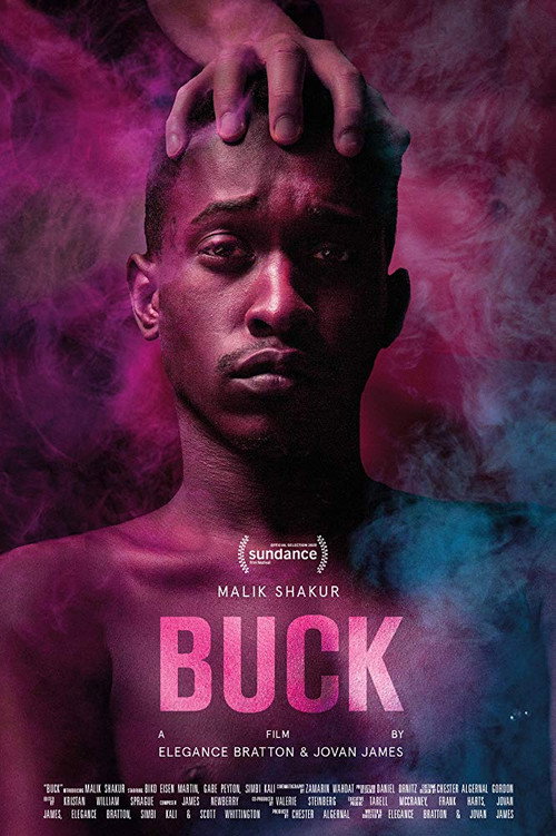 Movie poster for Buck (2020)