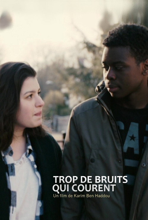 Movie poster for Trop de bruits qui courent (2017)