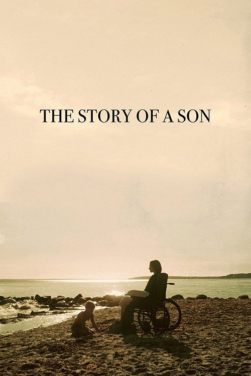 Movie poster for The Story of a Son (2022)