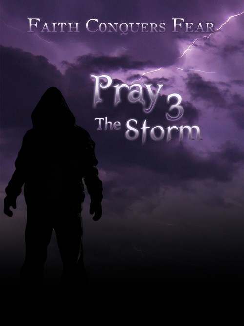 Movie poster for Pray 3D: The Storm (2012)