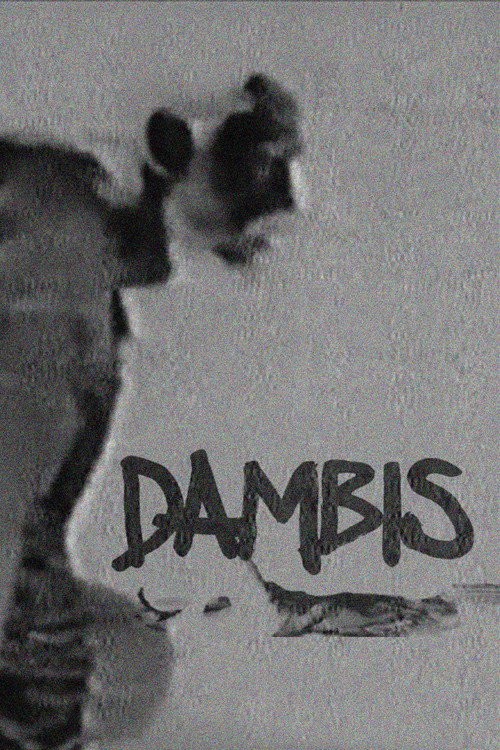 Movie poster for Dambis (2008)
