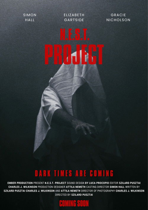 Movie poster for English (2027)