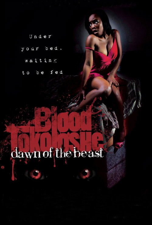 Movie poster for Blood Tokoloshe (2013)