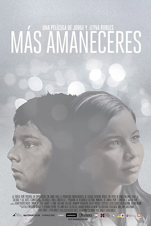 Movie poster for At Dawn (2013)