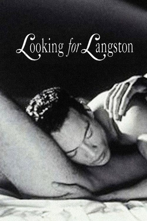 Movie poster for Looking for Langston (1989)