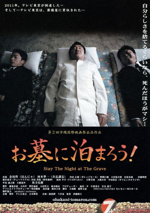 Movie poster for Stay the Night at the Grave (2010)