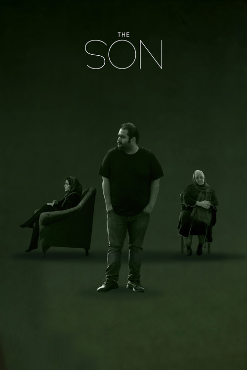 Movie poster for The Son (2021)