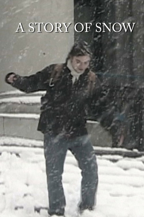 Movie poster for A Story of Snow (2024)