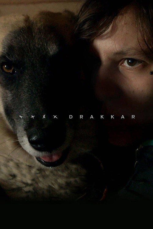 Movie poster for Drakkar (2015)