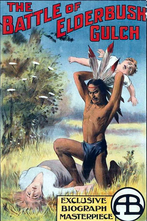Movie poster for The Battle at Elderbush Gulch (1913)
