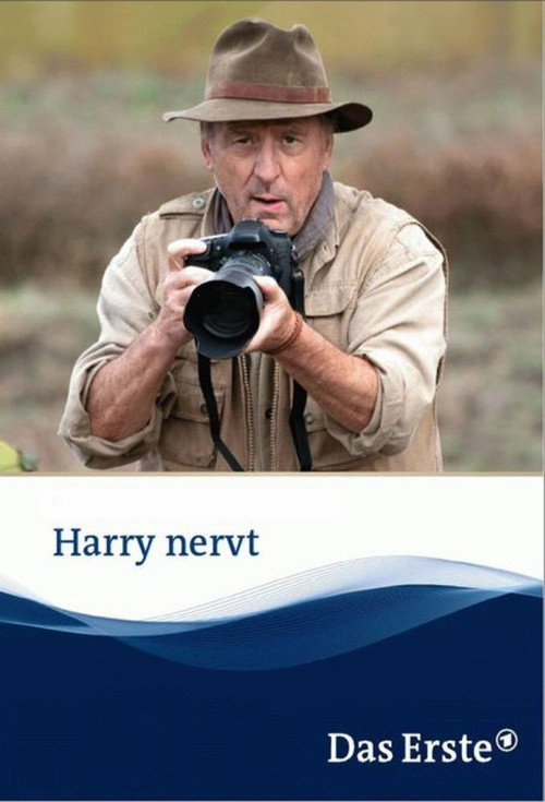 Movie poster for Harry nervt (2013)
