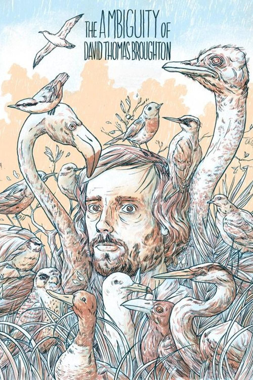 Movie poster for The Ambiguity of David Thomas Broughton (2015)