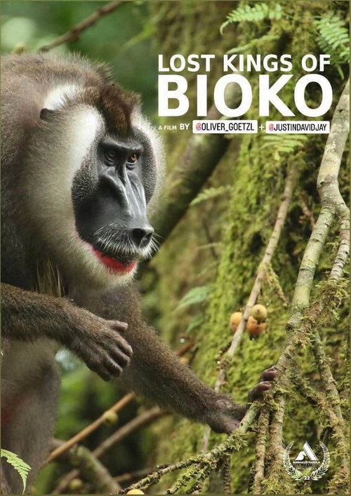 Movie poster for Lost Kings of Bioko (2019)