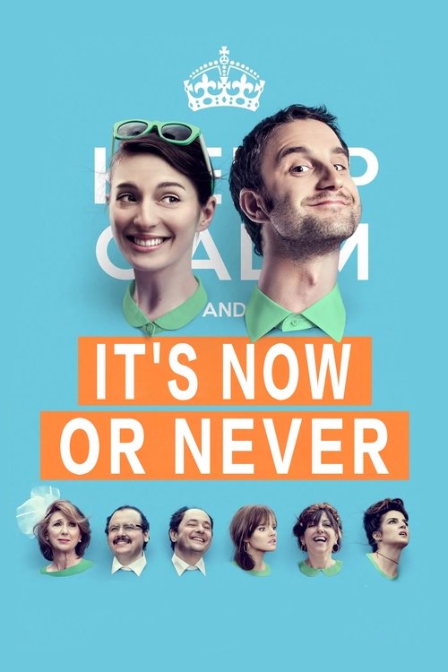 Movie poster for It's Now or Never (2015)