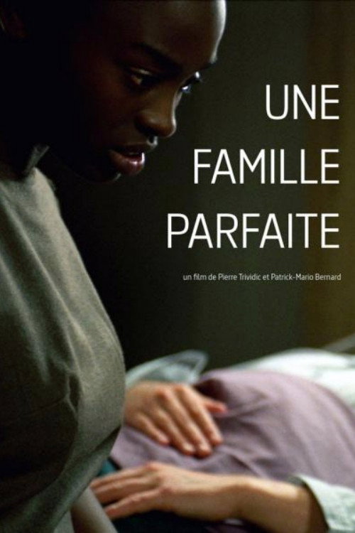 Movie poster for Une famille parfaite (2006)