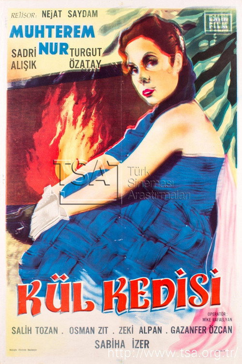 Movie poster for Kül Kedisi (1961)