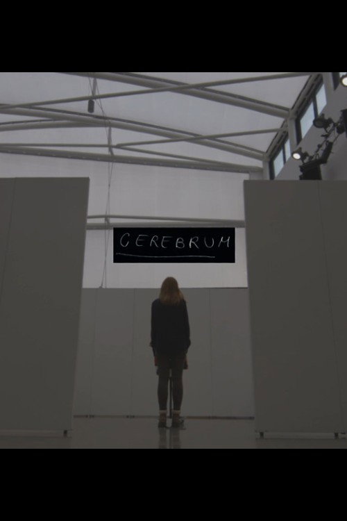 Movie poster for Cerebrum (2020)