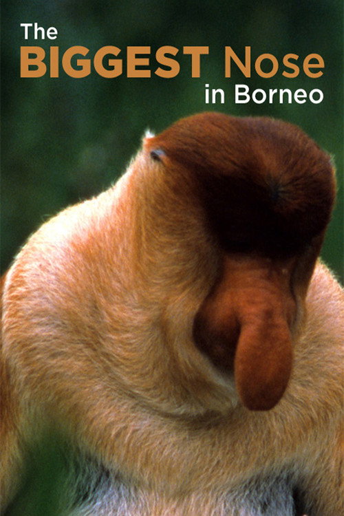 Movie poster for The Biggest Nose in Borneo (2003)
