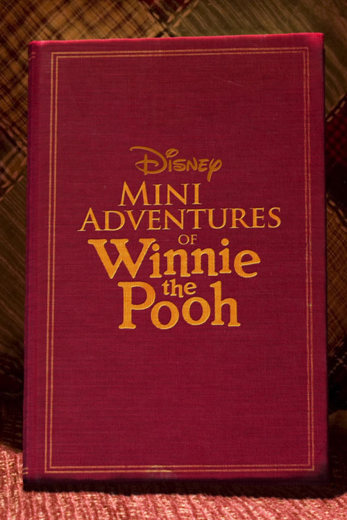 Mini Adventures of Winnie the Pooh poster