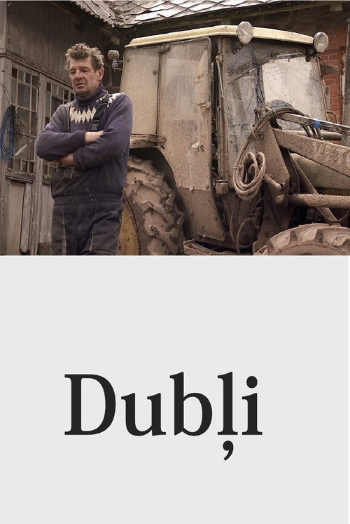 Movie poster for Mud (2010)
