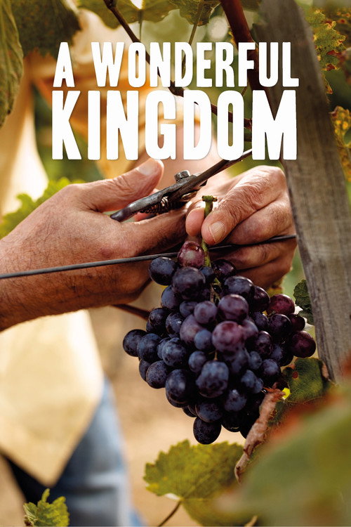 Movie poster for A Wonderful Kingdom (2021)