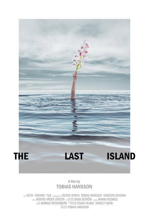 Movie poster for The Last Island (2025)
