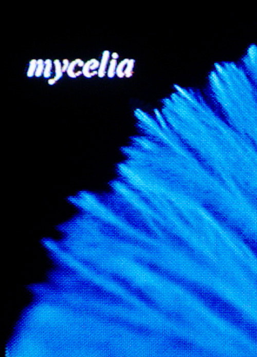 Movie poster for mycelia (2023)