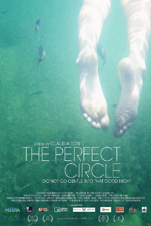 Movie poster for The Perfect Circle (2013)