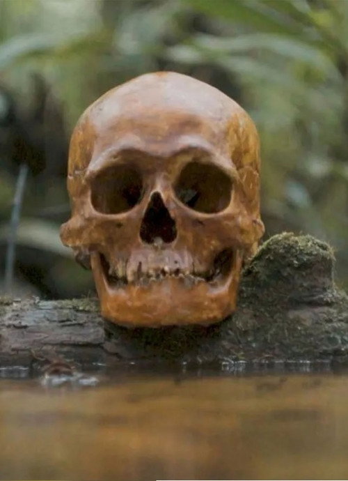 Movie poster for A Skull (2021)