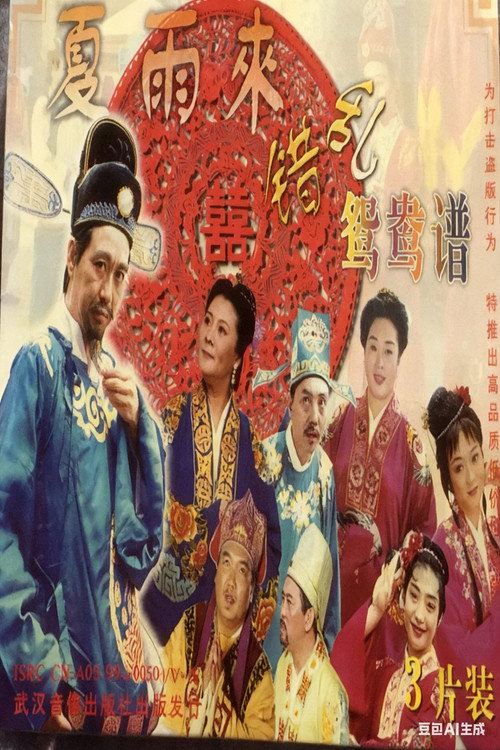 Series poster for 错乱鸳鸯谱 (2005)