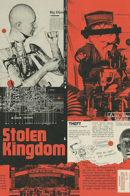 Movie poster for Stolen Kingdom (2026)