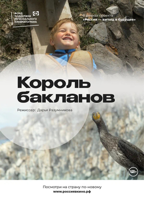 Movie poster for The King of Cormorants (2023)