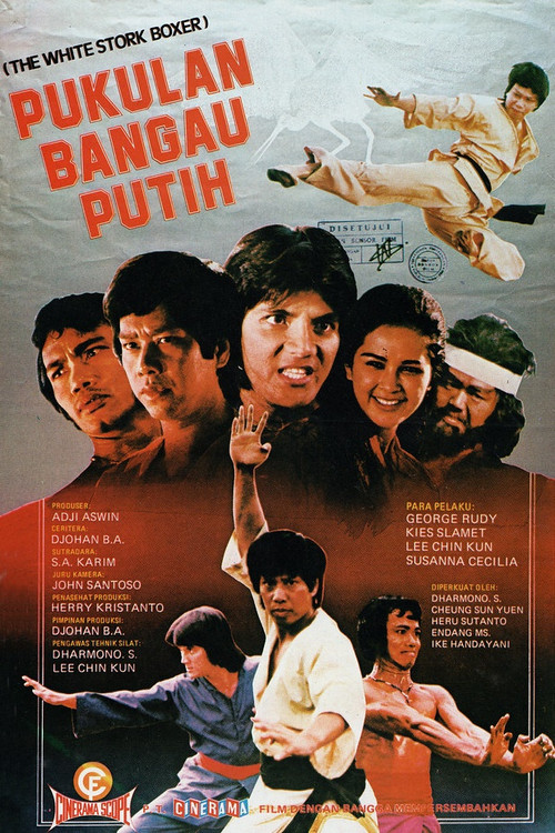 Movie poster for The Fierce Boxer (1977)