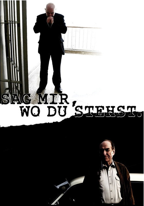 Movie poster for Sag mir, wo du stehst (2011)