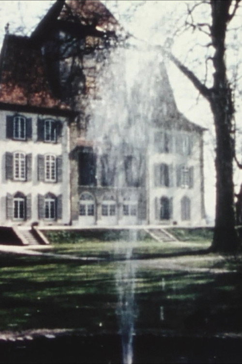 Movie poster for 13 Bern Museums (1968)