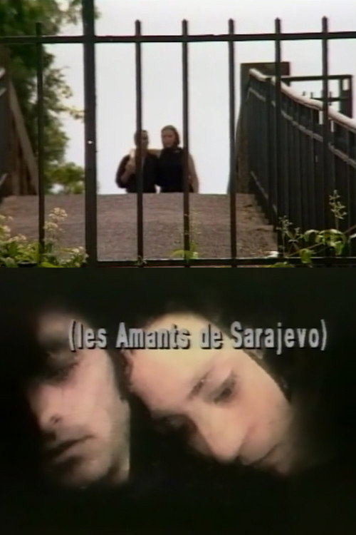 Movie poster for The Lovers of Sarajevo (1993)