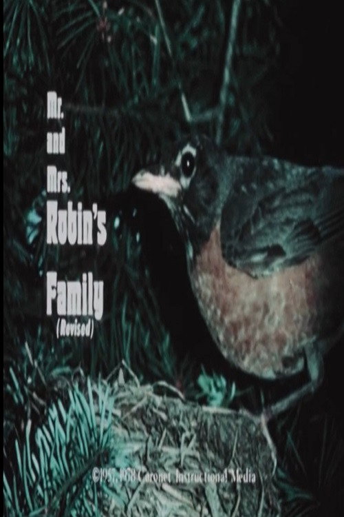 Movie poster for Mr. and Mrs. Robin's Family (Revised) (1978)