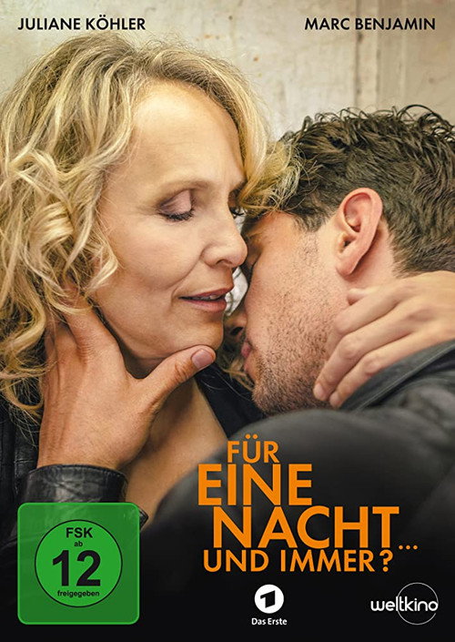 Movie poster for Für eine Nacht... und immer? (2015)