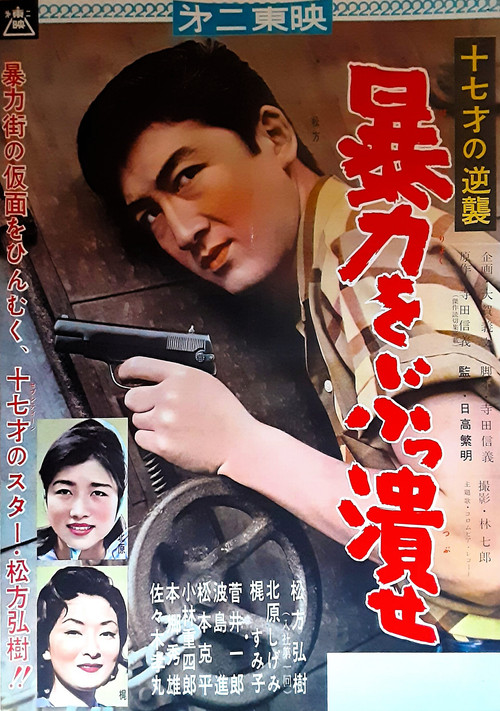 Movie poster for Fighting Horizon